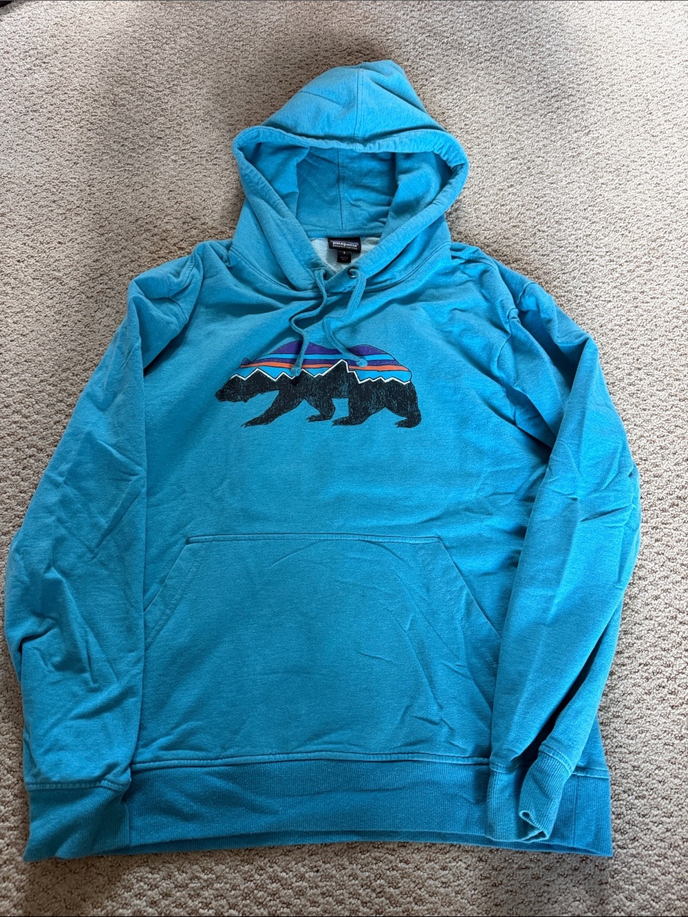 Patagonia Teal Pullover Hoodie with Bear Graphic
